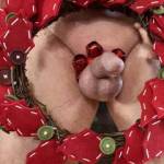 Merry Christmas to all of my Zoig friends