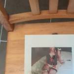 I have the chance @sexyfunchic to be my cumslut muse and I love it 😈