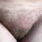 1 of 2 - Happy Hairy Holidays :)