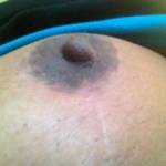 Pretty brown tit