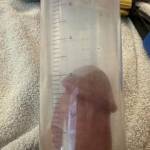 Me in the same pump as bikini man, I had to use the gasket when he didn't. I pumped it so hard trying to look as big as I could and it fucking hurt so much. Felt like it was going to tear my dick off. I could never fill my wife up like him.