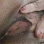 Am I the only one who wants to bang my wife when I see her rubbing her pussy like this?