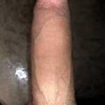 Maybe needs a shave..