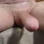 my hard cock