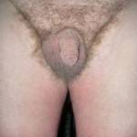 small hairy gay cock and balls