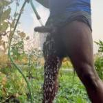 The garden is my happy place