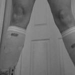 Little pussy on wheels