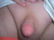 new pic of my tiny cock