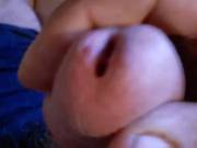 ZOIG - Nelson, British Columbia, Canada - homemade amateur photos ...