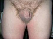 small hairy gay cock and balls