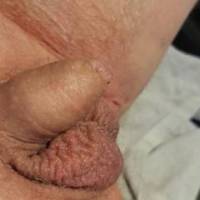 My small dick ready to be used