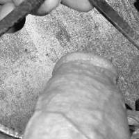 Measuring  the Girth of a penis/Cock/Dick/weiner