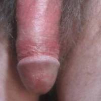 A close up of my redwood colored dick some time after applying, rubbing, smearing tong balm- which makes the dick last longer... late April of 2025... Camera used S95.
