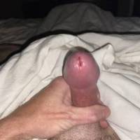 Everybody liked the side and front view of my dick so I thought I’d give you a top view. I was looking at some pictures and video from Zoig and it gave me a huge hard on. The head of it only swells up like a mushroom like this when I’m super turned on