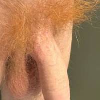 What do you think about my red hairy dick ? :)