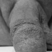 my dick on display