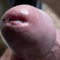 Got so horny, looking at fellow Zoig members photos, and videos my dickhead is completely engorged and leaking pre-cum