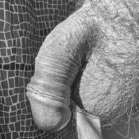 dick