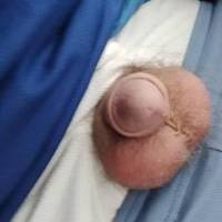 Who would like to put it in their mouth?  I'm so horny right now would let a guy suck on my dick....  Message me let's have some me fun...