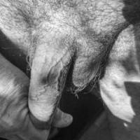 dick