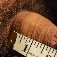 My nearly 2 inch penis is always the smallest cock in the mens showers or changeroom evrytime. Most other dicks are bigger by alot, i like being smaller than everyone else though.