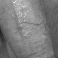 Wet Dick