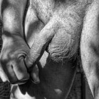dick