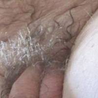 Another view of my dick and matted hair as I sit at my desk/PC in late April of 2025. Pictures taken with SX 160 camera.