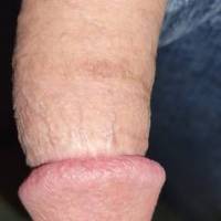 Hard dick close up