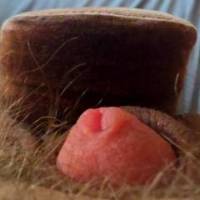 My tiny dick is even smaller than the heel of this wedge slipper