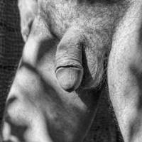 dick