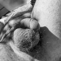 dick