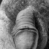 dick