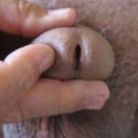 Taking a look at my dick slit.