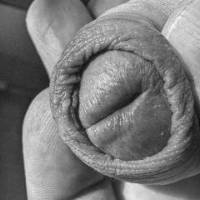 dick