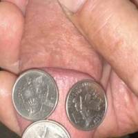 Three US quarters on my flaccid dick head. Quarters are 15/16” dia