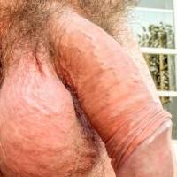 dick