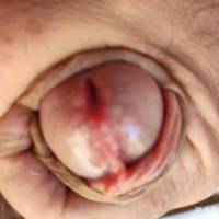 My dick in hand