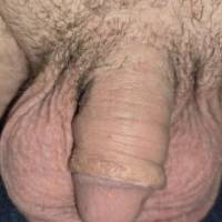 Small soft dick and big heavy juicy cum filled balls resting in bed after I get home from work. Sure wish I had someone that would love to burry their face in my dick and balls until I shoot a nice thick warm creamy reward for them.