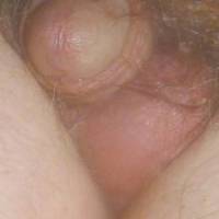 A close frontal view of my flaccid dick as i sit on my recliner...late April 2025... T3 camera was used.
