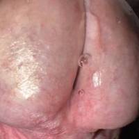 Close up of wet dick