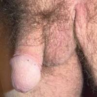 My hairy flaccid dick.