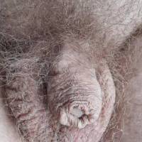 My erectile dysfunction dickie Not shaved