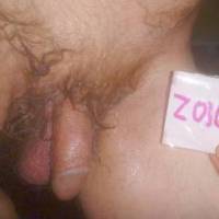 A close view of my dick and a partial view of my balls... I am actually kneeling on my bed- facing my pillows, that you do not see...A T3 camera was used.