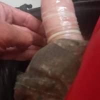 That's my cock in a magnum condom dick is to thick for this need to just go raw