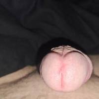 morning dick