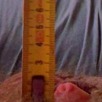 My tiny dick vs a ruler