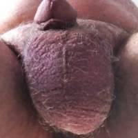 Who wants to suck and lick on Al's thick scrotum and tiny dick?