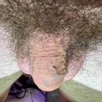 dick