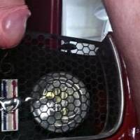 Hanging dick by car grill